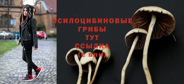 spice Балахна